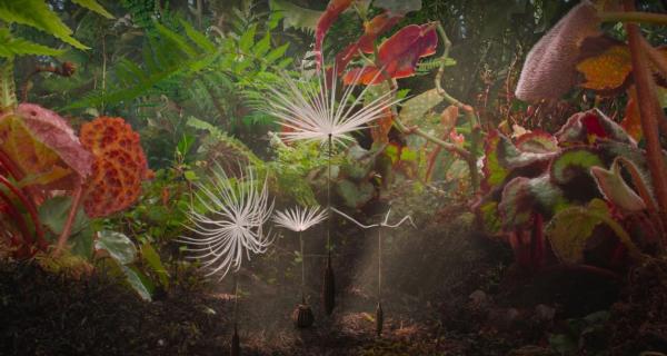 Affiche du film Planètes