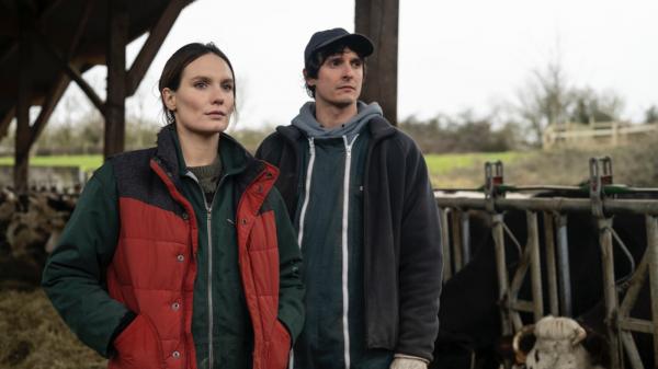 Affiche du film La guerre des prix